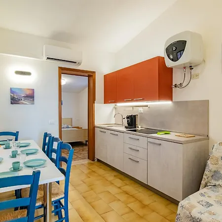 Bouganville * Palazzo (Livorno)