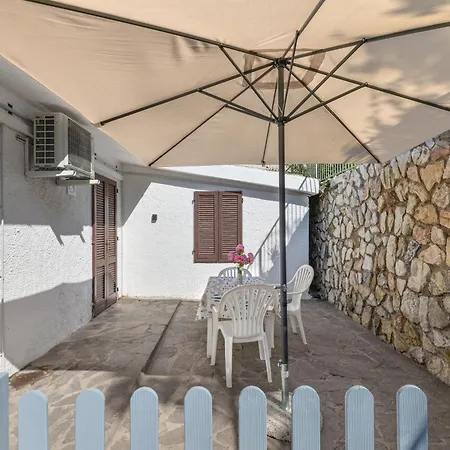 Bouganville * Palazzo (Livorno)