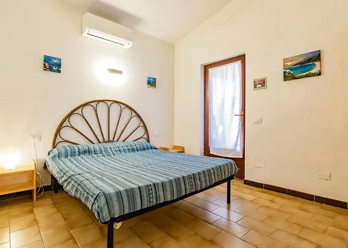 Bouganville * Palazzo (Livorno)