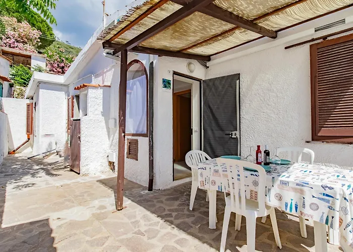 Bouganville Palazzo (Livorno)