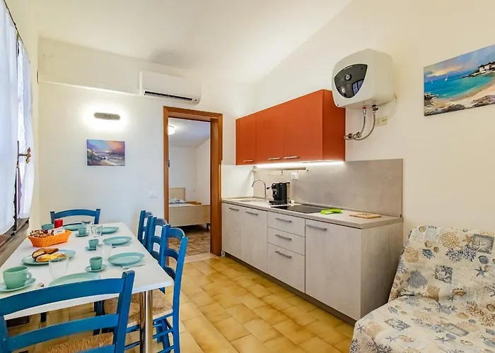 Bouganville * Palazzo (Livorno)