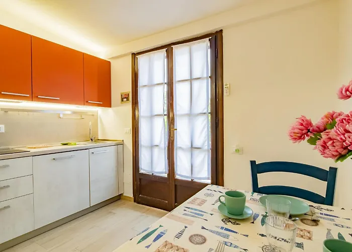 Bouganville * Palazzo (Livorno)