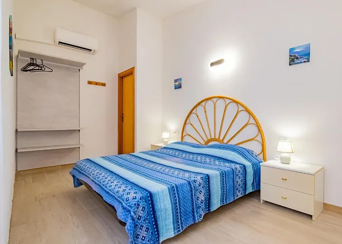 Bouganville * Palazzo (Livorno)