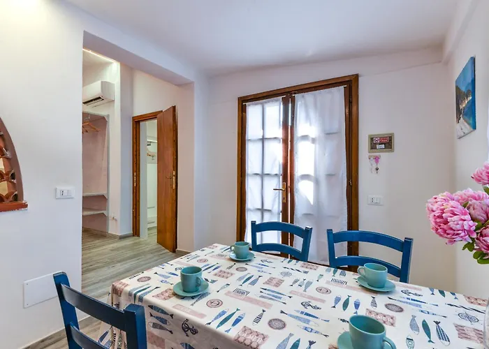 Bouganville * Palazzo (Livorno)