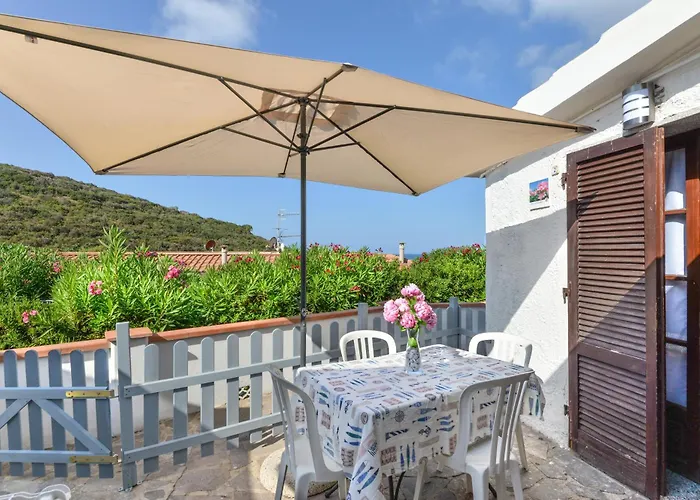 Bouganville * Palazzo (Livorno)