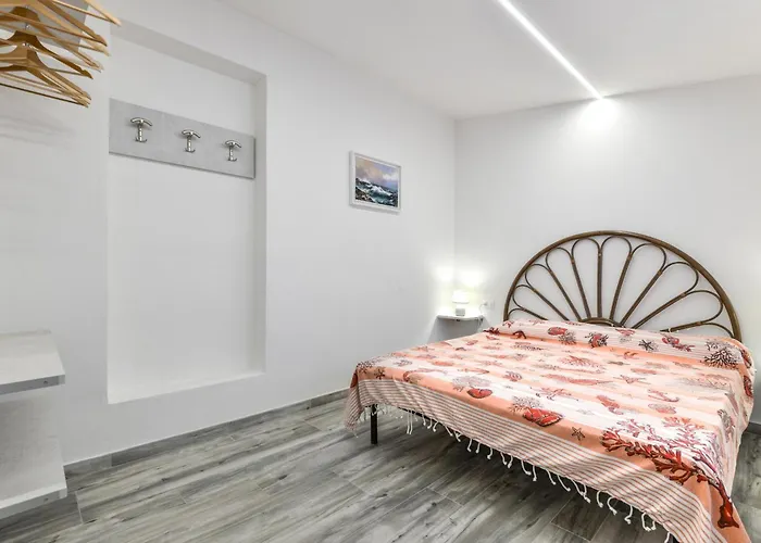 Bouganville * Palazzo (Livorno)