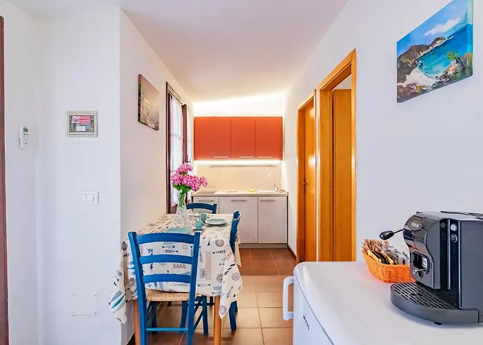 Bouganville * Palazzo (Livorno)