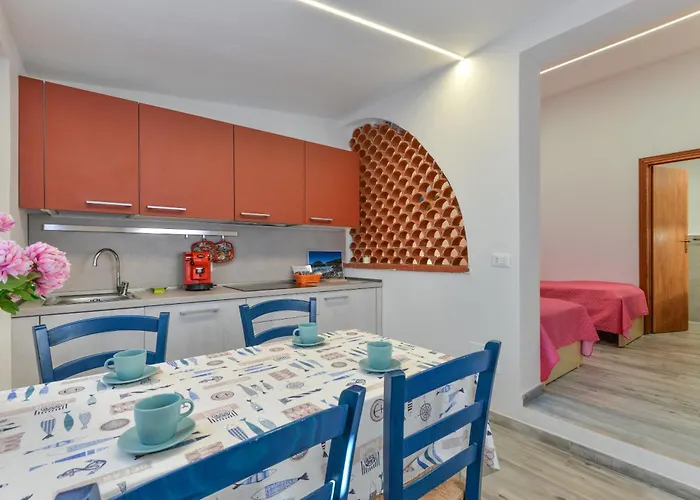 Bouganville * Palazzo (Livorno)